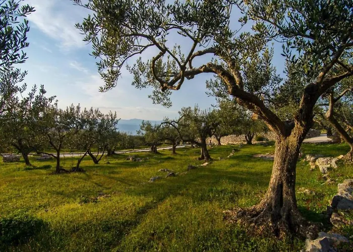 Mediterranean With Pool Villa Splitska
