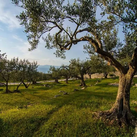Mediterranean With Pool Βίλα Splitska